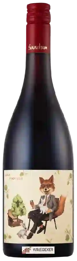 Winery Sanctum - Lisica Pinot Noir