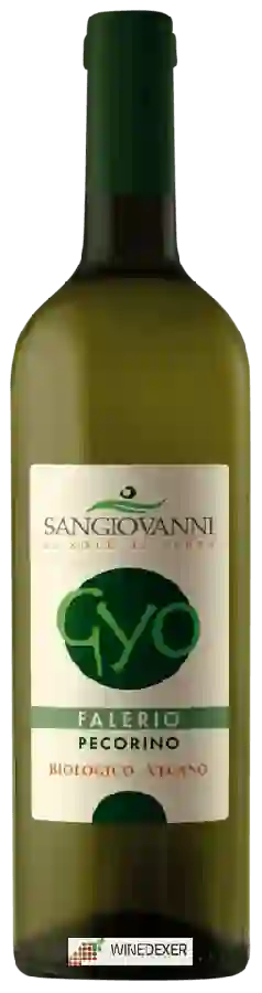 Winery Sangiovanni - Gyo Falerio Pecorino