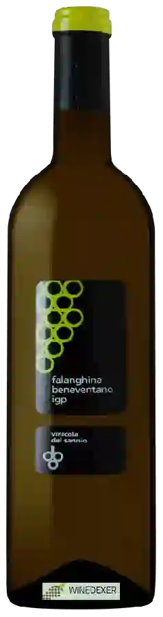 Winery Vinicola del Sannio - Samnis Beneventano Falanghina