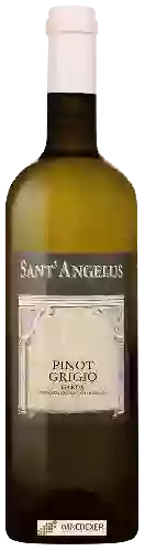 Winery Sant' Angelus - Pinot Grigio