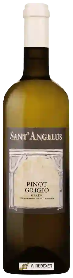 Winery Sant' Angelus - Pinot Grigio