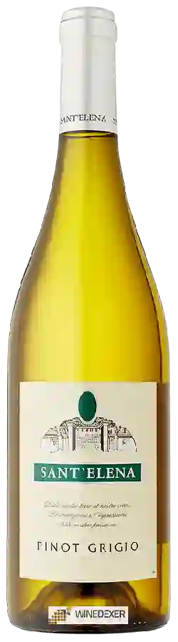 Winery Sant'Elena - Pinot Grigio Winery Sant'Elena - Pinot Grigio
