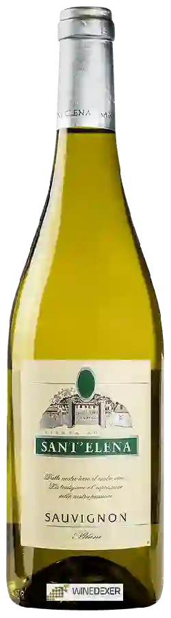Winery Sant'Elena - Sauvignon Blanc