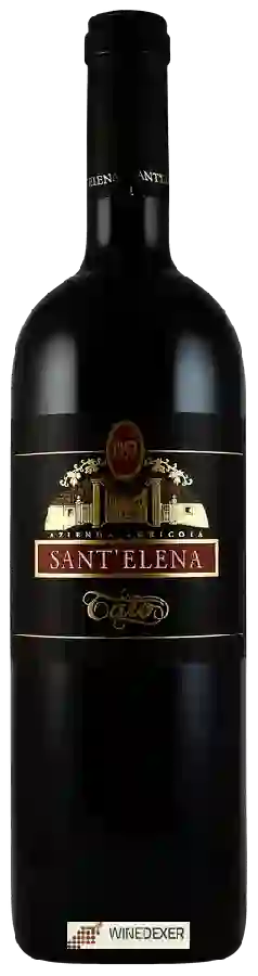 Winery Sant'Elena - Tato Winery Sant'Elena - Tato