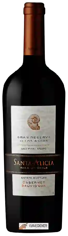 Winery Santa Alicia - Cabernet Sauvignon Gran Reserva de Los Andes