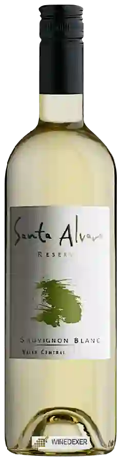 Winery Santa Alvara - Reserva Sauvignon Blanc