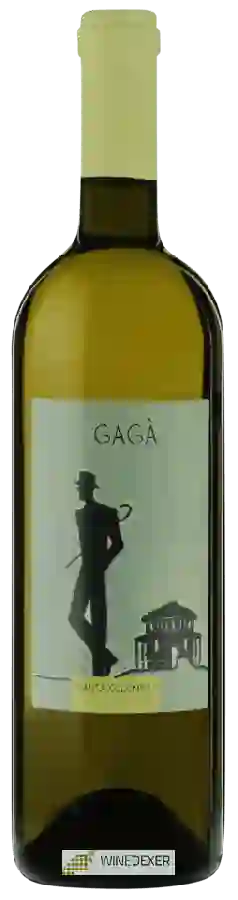 Winery Santa Colomba - Gagà Winery Santa Colomba - Gagà