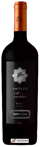 Winery Santa Ema - Amplus Old Vine Carignan
