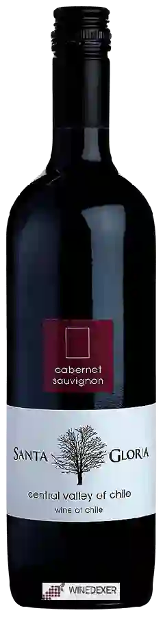 Winery Santa Gloria - Cabernet Sauvignon