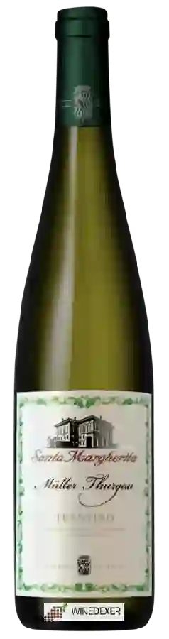 Winery Santa Margherita - Müller Thurgau Trentino Winery Santa Margherita - Müller Thurgau Trentino