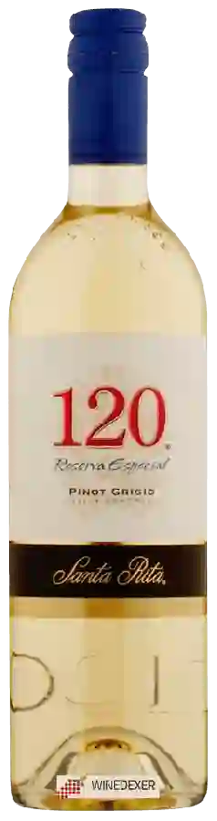 Winery Santa Rita - 120 Reserva Especial Pinot Grigio