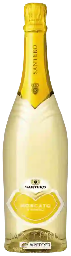 Winery Santero - Moscato & Mango
