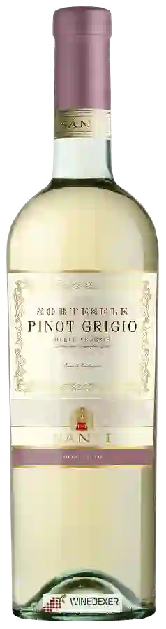 Winery Santi - Sortesele Pinot Grigio Winery Santi - Sortesele Pinot Grigio