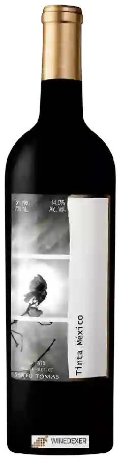 Winery Santo Tomás - Barbera - Merlot Tinta México Winery Santo Tomás - Barbera - Merlot Tinta México