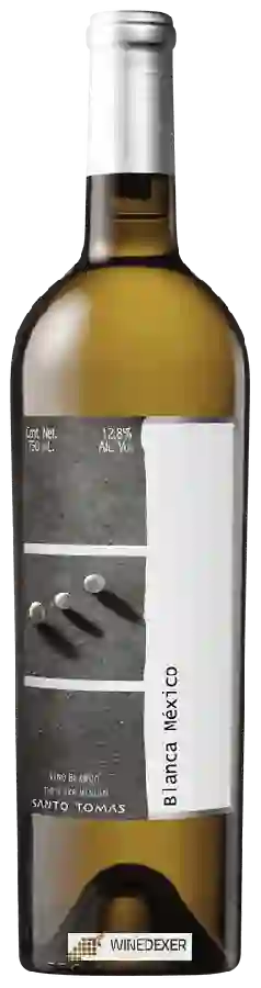 Winery Santo Tomás - Uva Mision Blanca México