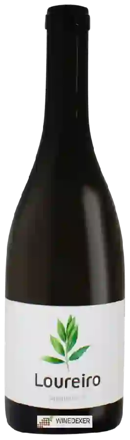 Winery Sapateiro - Loureiro Winery Sapateiro - Loureiro