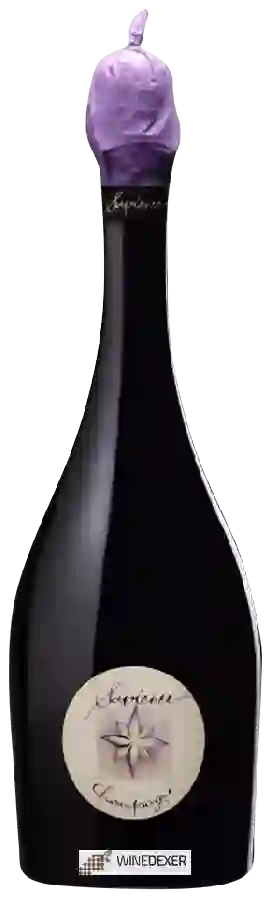 Winery Sapience - Champagne