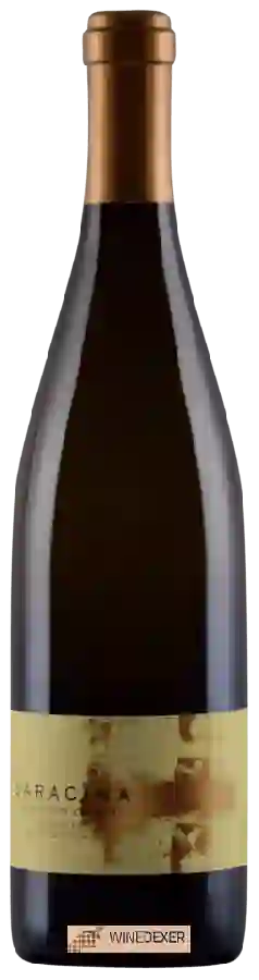 Winery Saracina - Unoaked Chardonnay Winery Saracina - Unoaked Chardonnay