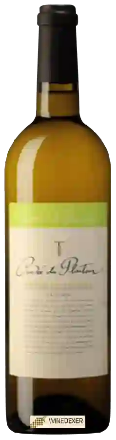 Winery Sarrat de Goundy - Cuvée du Planteur Blanc Winery Sarrat de Goundy - Cuvée du Planteur Blanc