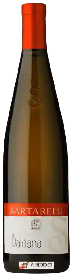 Winery Sartarelli - Balciana