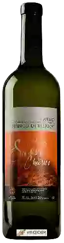Winery Sasso Chierico - Bianco di Merlot