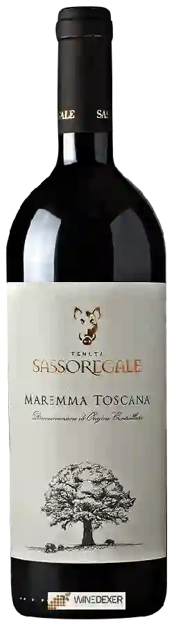 Winery Sassoregale - Maremma Toscana Winery Sassoregale - Maremma Toscana