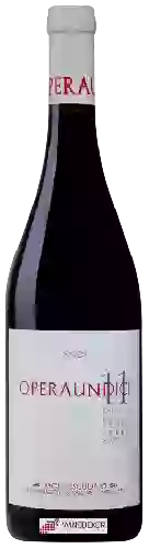 Winery Sator - Operaundici Montescudaio