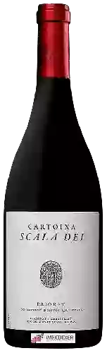 Winery Scala Dei - Cartoixa Priorat