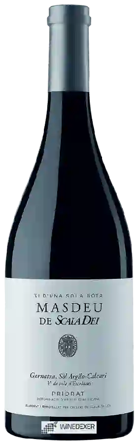 Winery Scala Dei - Masdeu de Scala Dei Priorat