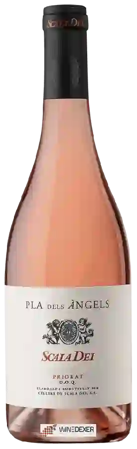 Winery Scala Dei - Pla dels Àngels Rosado Winery Scala Dei - Pla dels Àngels Rosado