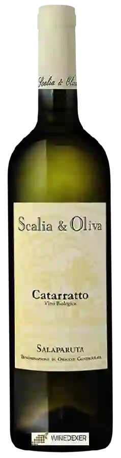 Winery Scalia et Oliva - Catarratto