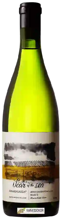 Winery Scar Of The Sea - Bien Nacido Vineyard Block 11 Chardonnay