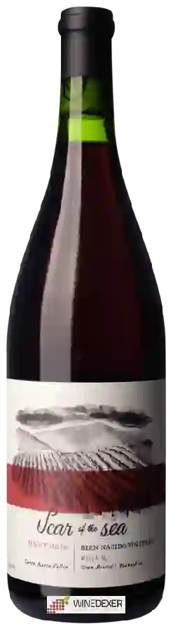 Winery Scar Of The Sea - Bien Nacido Vineyard Block Q Pinot Noir