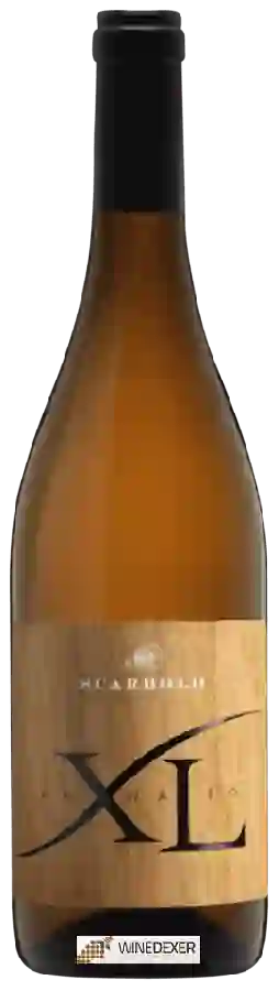 Winery Scarbolo - XL Winery Scarbolo - XL