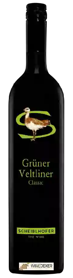 Winery Scheiblhofer - Grüner Veltliner Winery Scheiblhofer - Grüner Veltliner