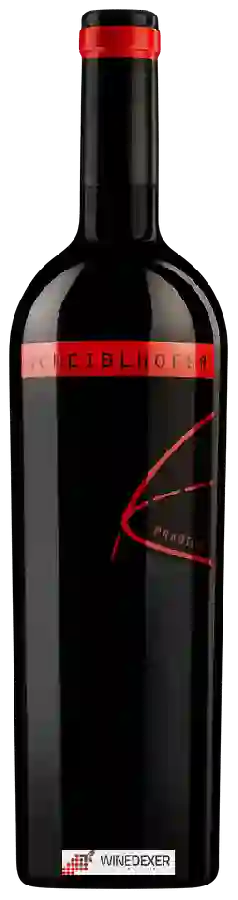 Winery Scheiblhofer - Prädium