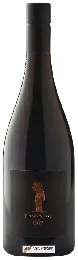 Winery Scheid Vineyards - Clone Series 667 Winery Scheid Vineyards - Clone Series 667
