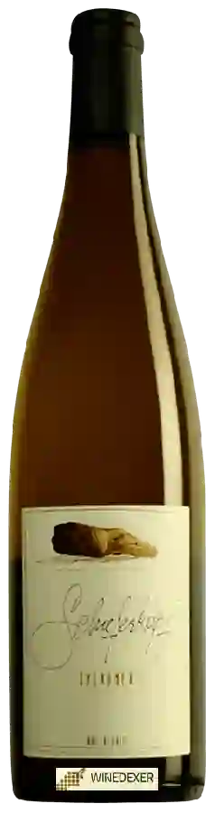 Winery Schieferkopf - Sylvaner Winery Schieferkopf - Sylvaner