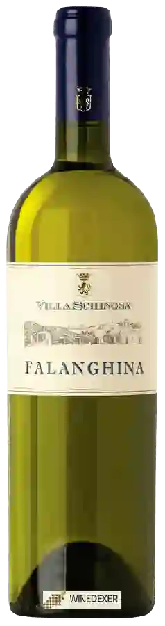 Winery Villa Schinosa - Falanghina Winery Villa Schinosa - Falanghina