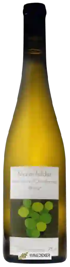 Winery Schloss Reichenau - Brisig Maienfelder Pinot Blanc - Chardonnay