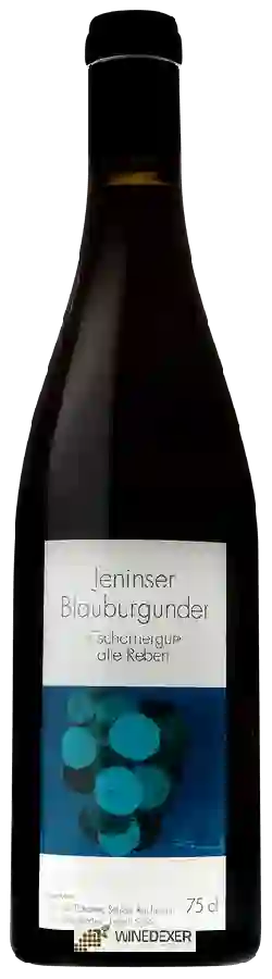 Winery Schloss Reichenau - Jeninser Blauburgunder Tscharnergut Alte Reben