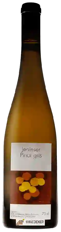 Winery Schloss Reichenau - Jeninser Pinot Gris