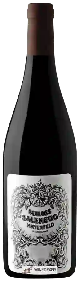 Winery Schloss Salenegg - Blauburgunder Winery Schloss Salenegg - Blauburgunder