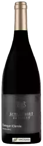Winery Schlossgut Ebringen - Ebringer Klämle Sauvignon Blanc