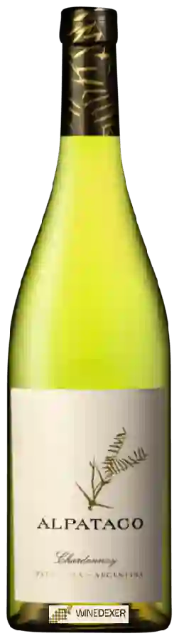 Winery Schroeder - Alpataco  Chardonnay Winery Schroeder - Alpataco  Chardonnay