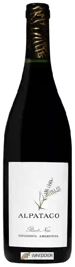 Winery Schroeder - Alpataco Pinot Noir