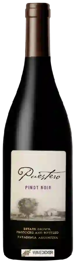 Winery Schroeder - Puestero Pinot Noir