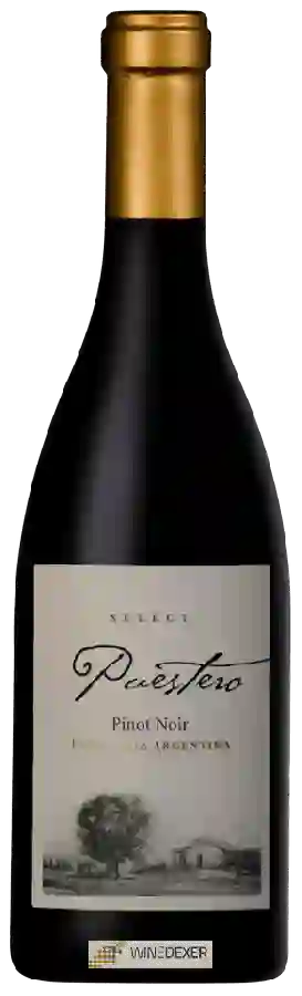 Winery Schroeder - Puestero Select Pinot Noir