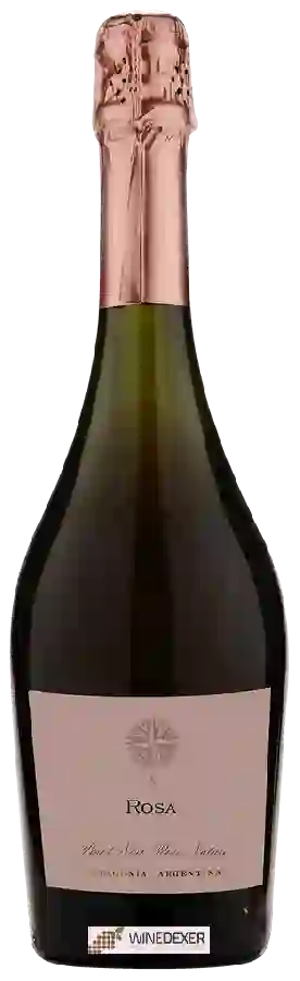 Winery Schroeder - Rosa de Los Vientos Rosé Nature de Pinot Noir