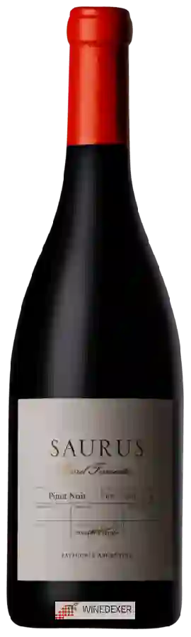 Winery Schroeder - Saurus Barrel Fermented Pinot Noir Winery Schroeder - Saurus Barrel Fermented Pinot Noir